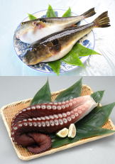 料理イメージ